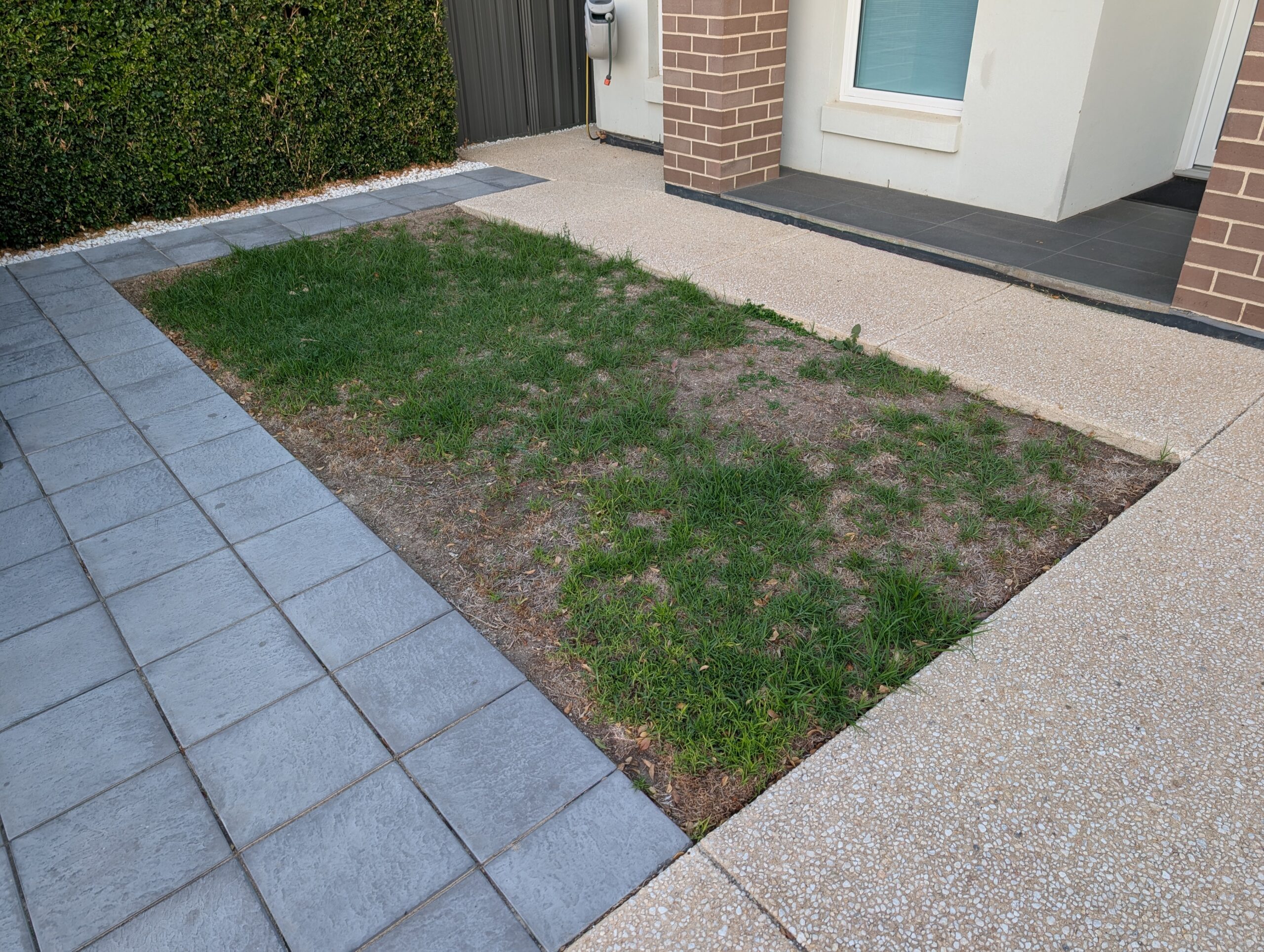 06 – Front Garden – Before 06 - Front Garden - Before